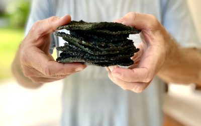 Spirulínové raw krekry